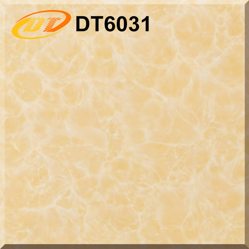 DT6031