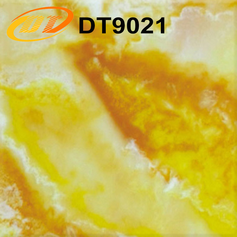 DT9021