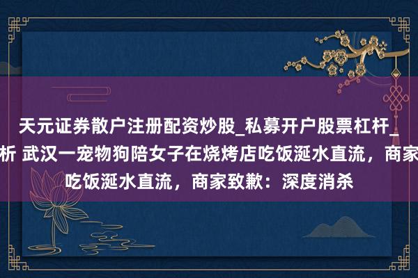 天元证券散户注册配资炒股_私募开户股票杠杆_天元融资行情分析 武汉一宠物狗陪女子在烧烤店吃饭涎水直流，商家致歉：深度消杀