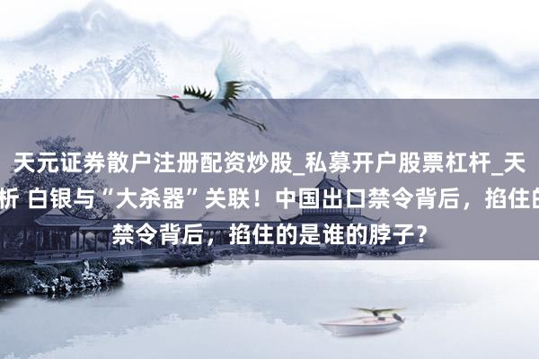 天元证券散户注册配资炒股_私募开户股票杠杆_天元融资行情分析 白银与“大杀器”关联！中国出口禁令背后，掐住的是谁的脖子？