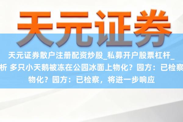 天元证券散户注册配资炒股_私募开户股票杠杆_天元融资行情分析 多只小天鹅被冻在公园冰面上物化？园方：已检察，将进一步响应
