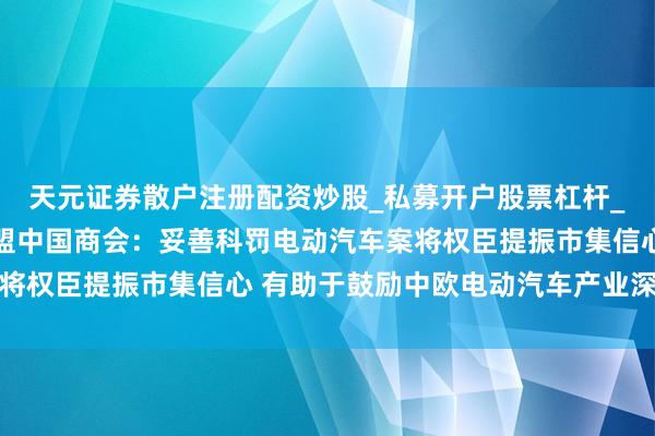 天元证券散户注册配资炒股_私募开户股票杠杆_天元融资行情分析 欧盟中国商会：妥善科罚电动汽车案将权臣提振市集信心 有助于鼓励中欧电动汽车产业深远合营
