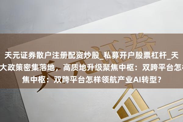 天元证券散户注册配资炒股_私募开户股票杠杆_天元融资行情分析 三大政策密集落地，高质地升级聚焦中枢：双跨平台怎样领航产业AI转型？