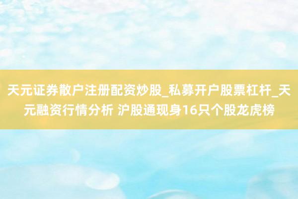 天元证券散户注册配资炒股_私募开户股票杠杆_天元融资行情分析 沪股通现身16只个股龙虎榜
