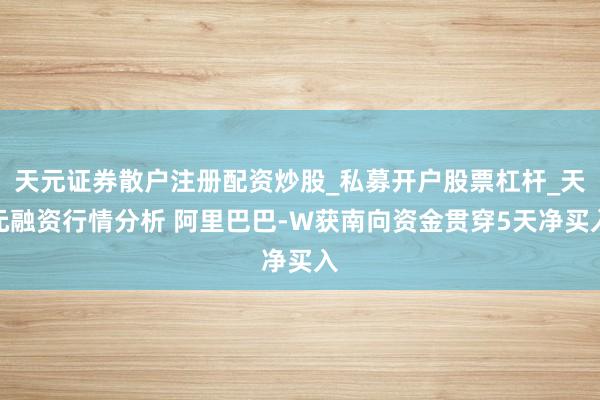 天元证券散户注册配资炒股_私募开户股票杠杆_天元融资行情分析 阿里巴巴-W获南向资金贯穿5天净买入